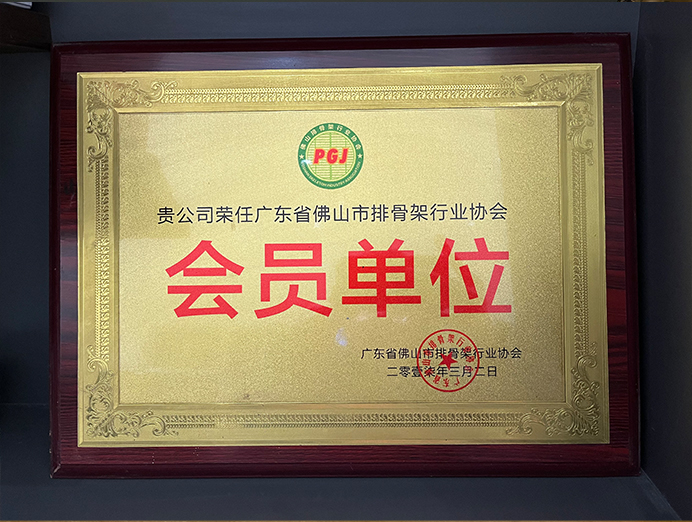 Foshan Spine Industry Association, Guangdong Province